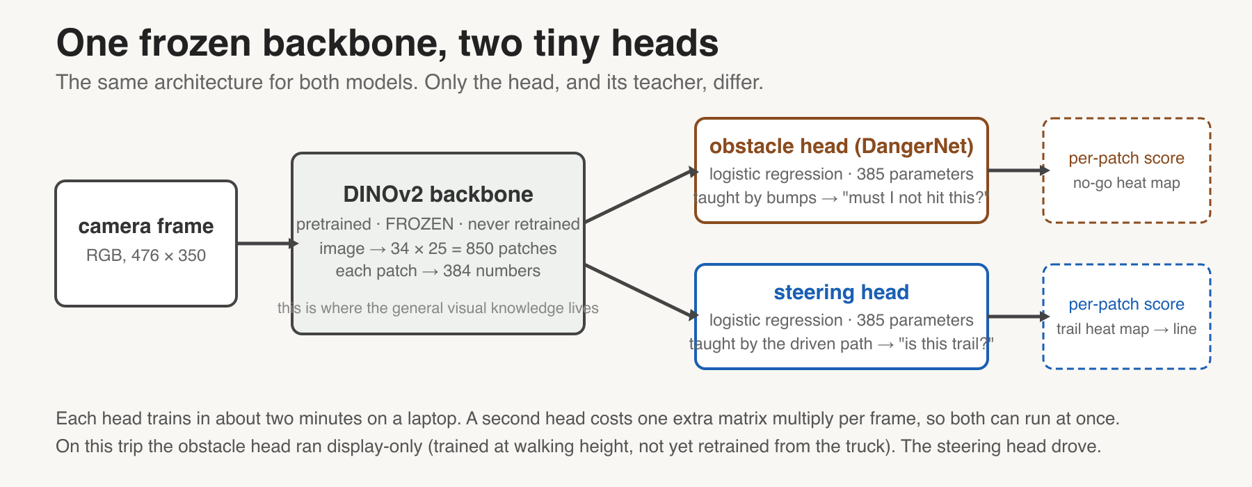 Figure 4. One frozen backbone, two tiny heads.